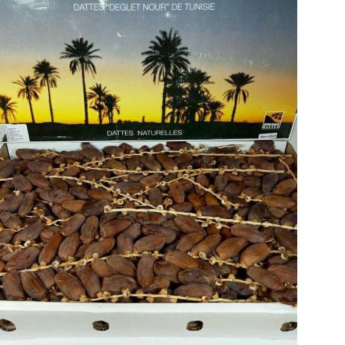 

♩ KURMA palm fruit tunisia tangkai 1kg ♔