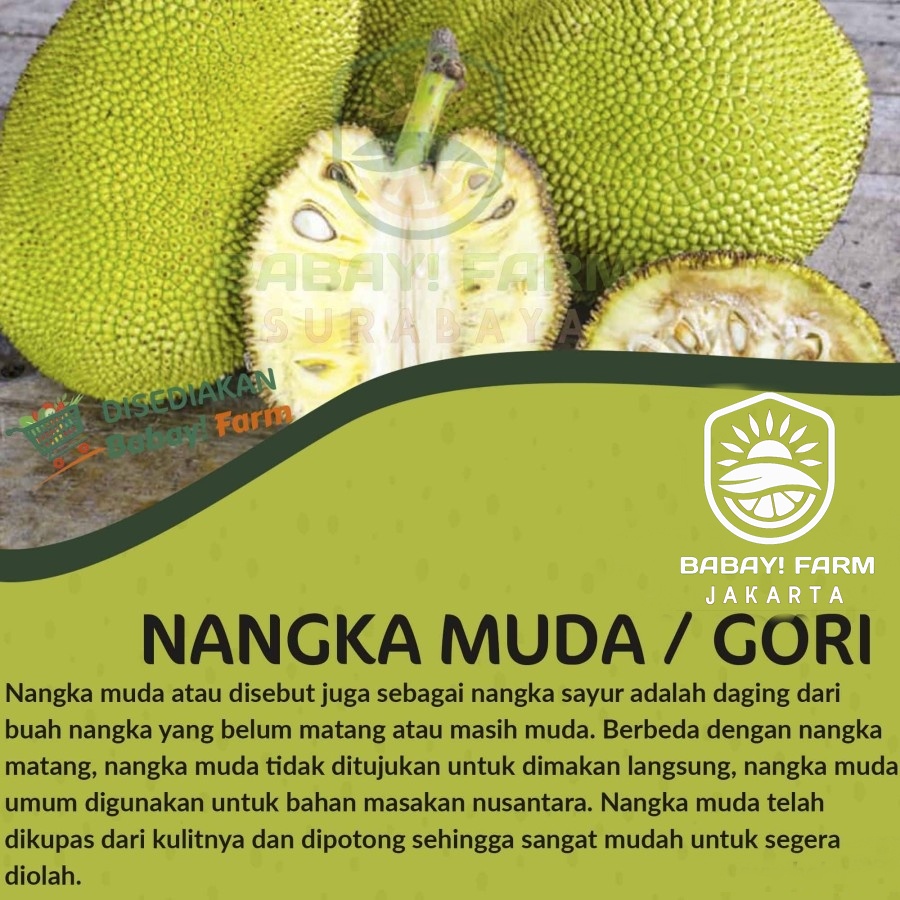nangka muda sayur / gori / tewel