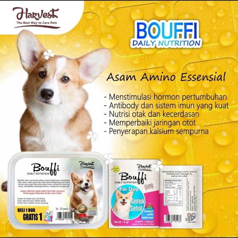 BOUFFI NUTRISI PENGGEMUK UNTUK ANJING