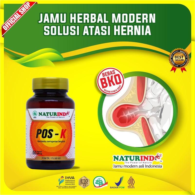 Obat Hernia Obat Hernia Obat Turun Berok Dewasa Dan Anak Obat Herbal Hernia Anak Dewasa Herbal Obat 