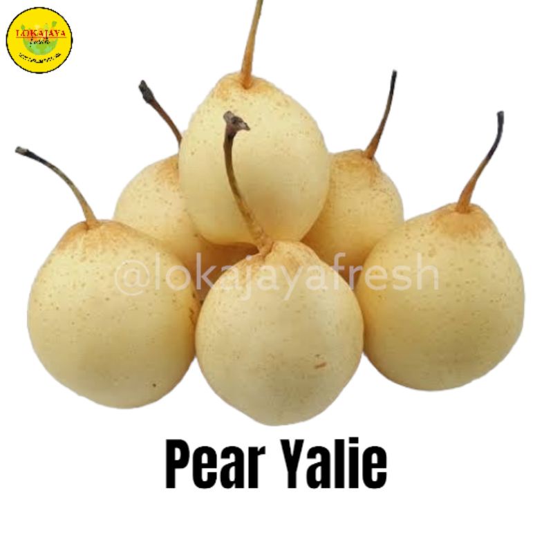 

Pear Yalie Pir Yali Manis 1 Pack