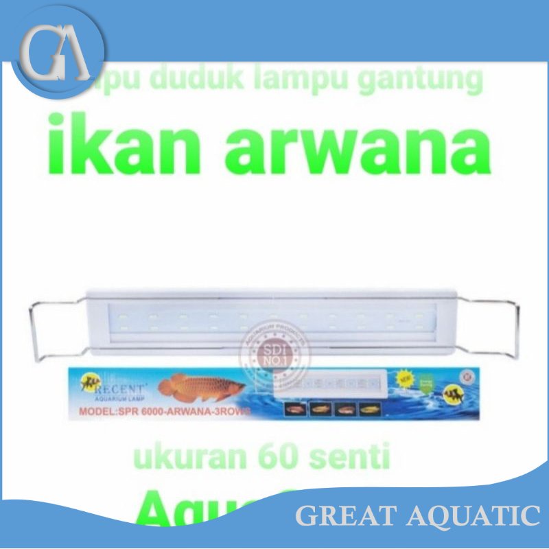 lampu spr recent 6000 lampu aquarium ikan arwana lohan ikan kelas