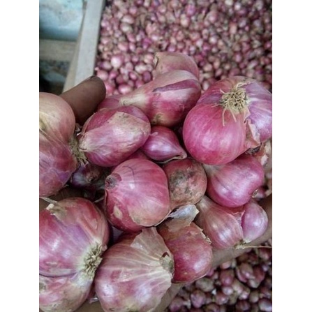 

C32 Bawang merah lokal 1kg BARANG TERUPDATE ㅉ