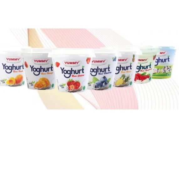 

֍ Yummy Yoghurt Cup 80 gram per 6 pcs ▼