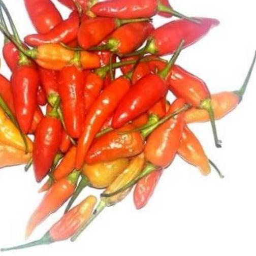 

➯ Cabe / cabai rawit merah - 500gram ✩