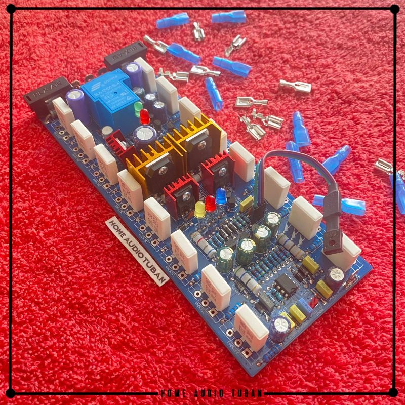 Kit Driver Amplifier SOCL 506 TEF 2U plus PROTEKTOR DOBEL LAYER