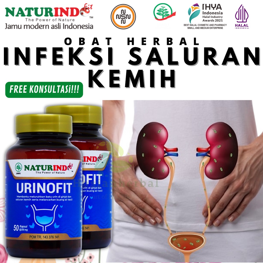 Obat Herbal isk mengobati infeksi inveksi saluran kandung kemih kencing kandung kemih pria wanita ba