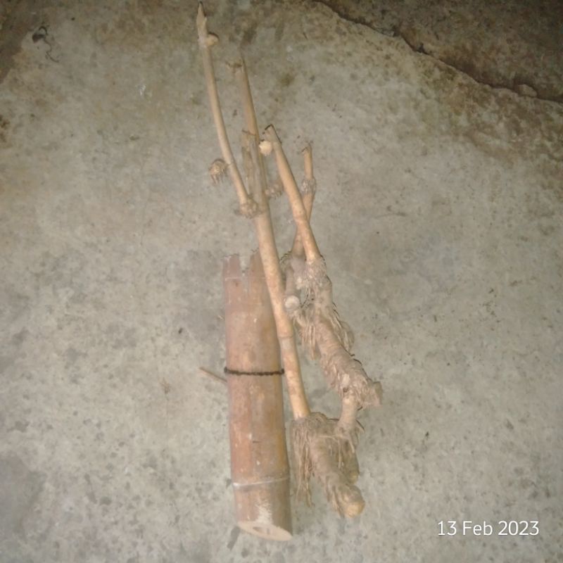 BambuUnik