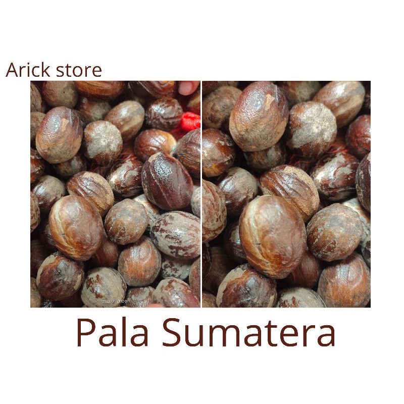 

Pala Sumatera butiran