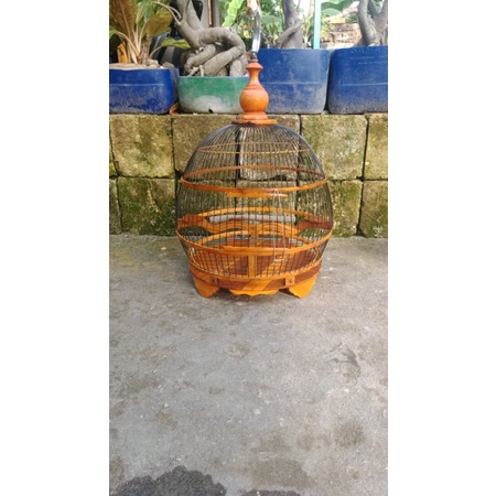sangkar derkuku minion