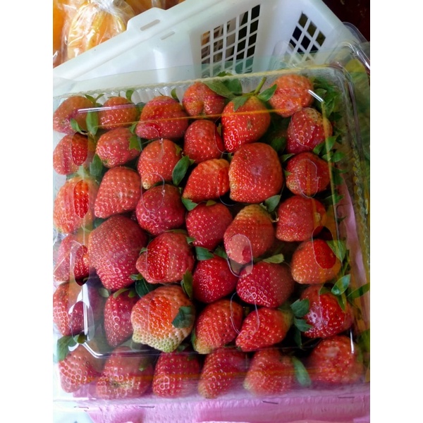 

strawberry fresh