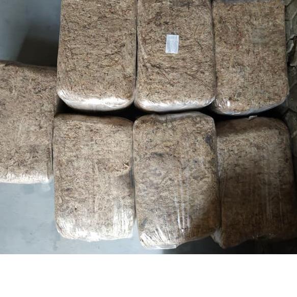 ➩ Sphagnum Chille Moss 200 Gram ⅍