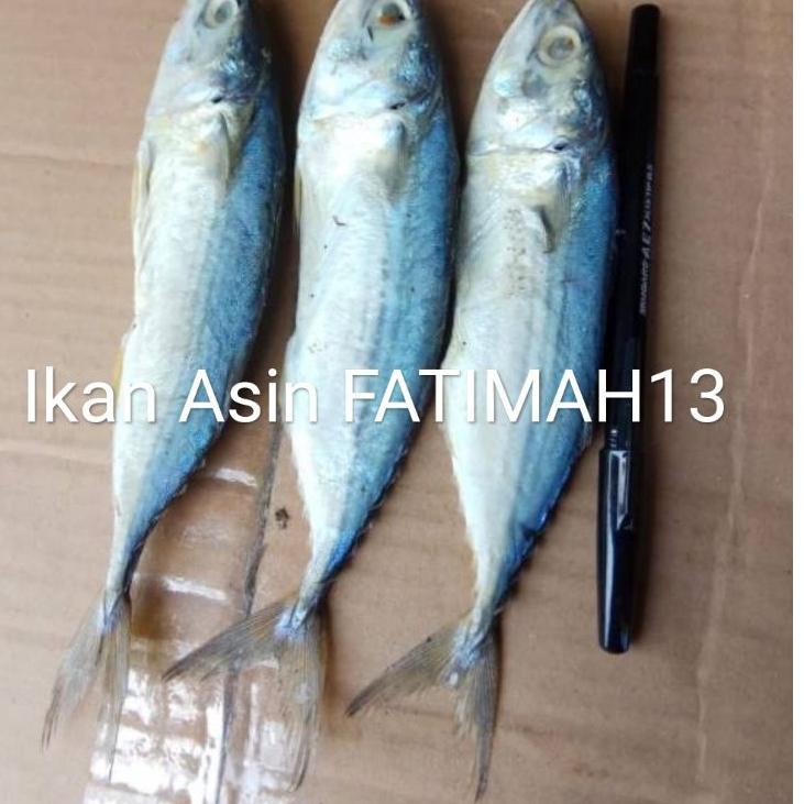 

Terlaku... Ikan Asin Peda Banyar Sedang 500gram Enak Murah
