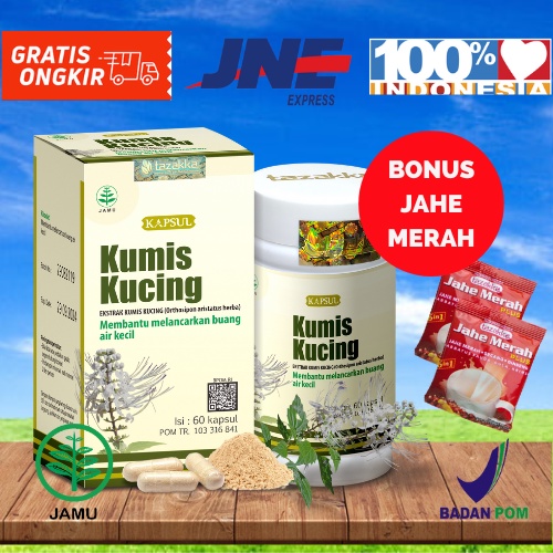 

Kapsul Ekstrak Kumis Kucing Obat Saluran Kemih Gempur batu Urin Batu Ginjal Lancar Buang Air Kecil Diabet Herbal Tazakka 60 kapsul BPOM HALAL ORIGINAL