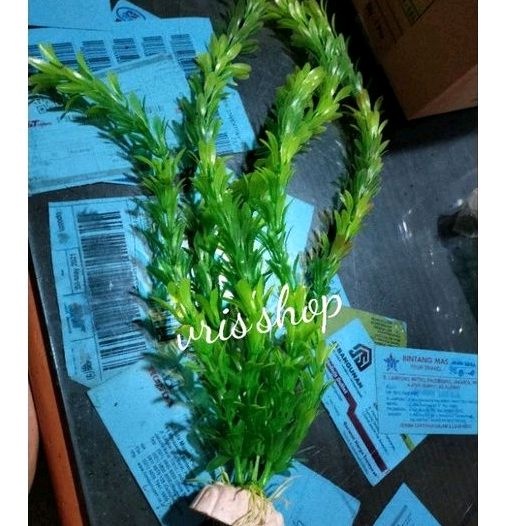 hiasan aquarium aquascape pot 40 cm