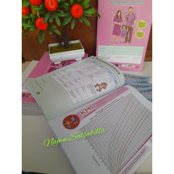 

Buku KIA ORI (UMUM/BIDAN) Edisi 2023/2024. FREE Stiker P4K