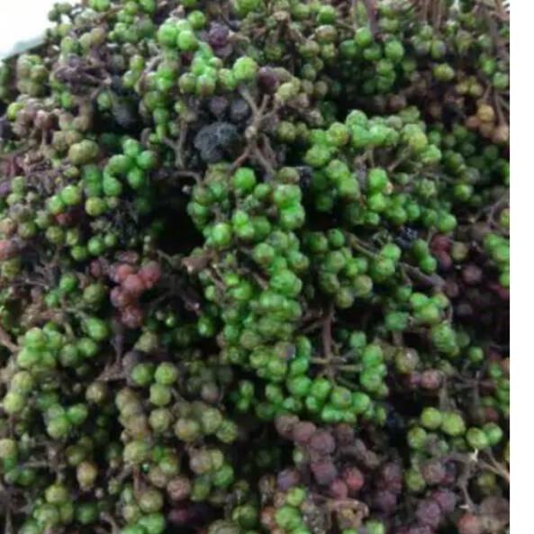

♛ Andaliman 150gr ➽