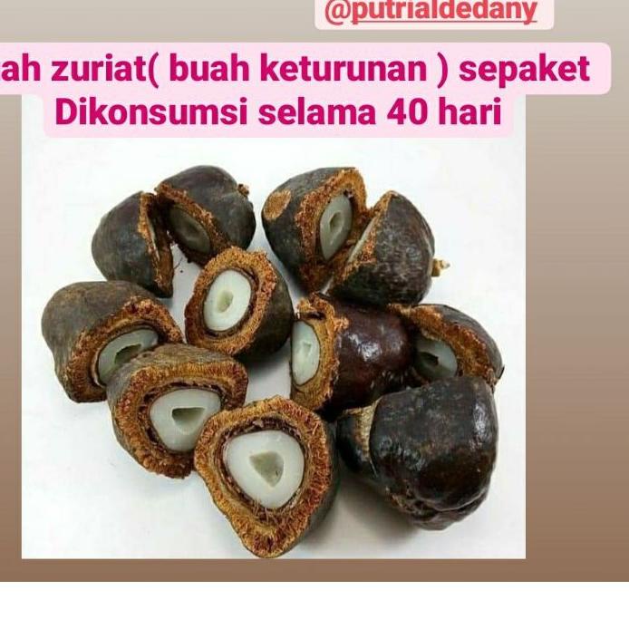 

♕ ZURIAT BELAH SEPAKET ( 40 HARI KONSUMSI ) Zuriat Belah praktis tinggal rebus , LANGSUNG DARI BUAHNYA / ZURIAT ORIGINAL /ZURIAT ORGANIC ☂