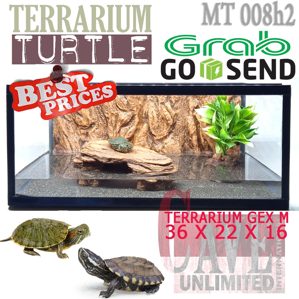 MT008H2 KANDANG TERRARIUM AKUARIUM REPTILE TURTLE KURA AIR AMBON PIPUT RAZOR RES BRAZIL ENCLOSURE FU