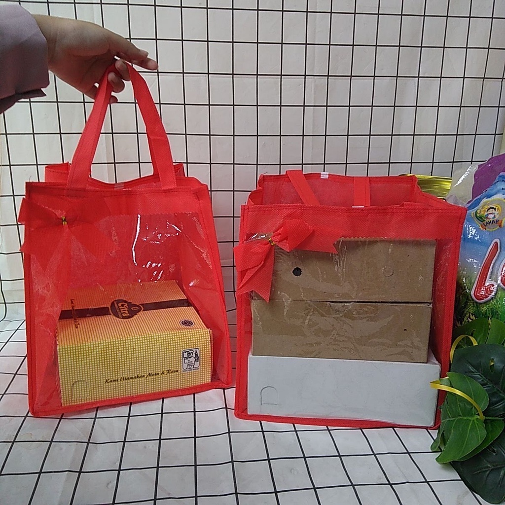 EKONOMIS LUSINAN - TAS MIKA Bening Kombinasi Spunbond + PITA 25x22x26 Dos 20x20 / Dos 22x22 Goodie B