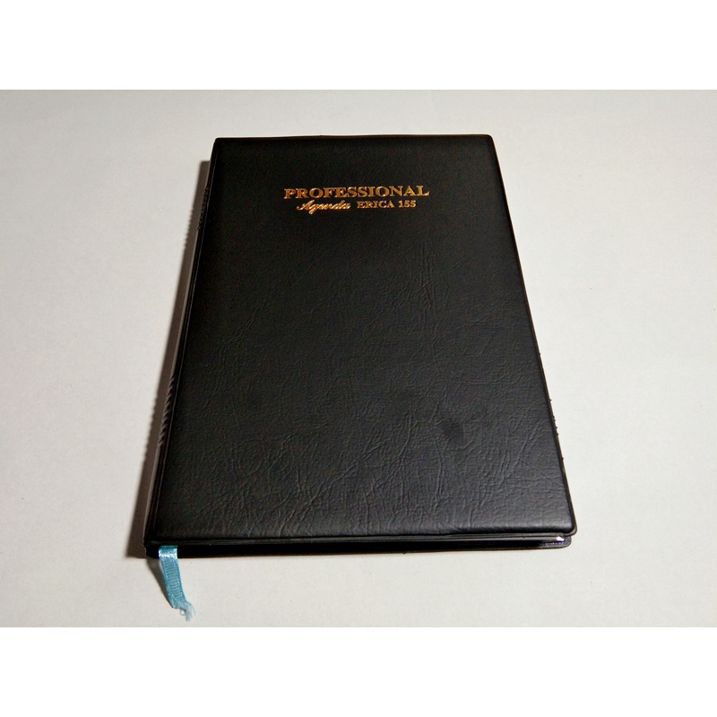 

Agenda (Diary) Professional Agenda Erica 155