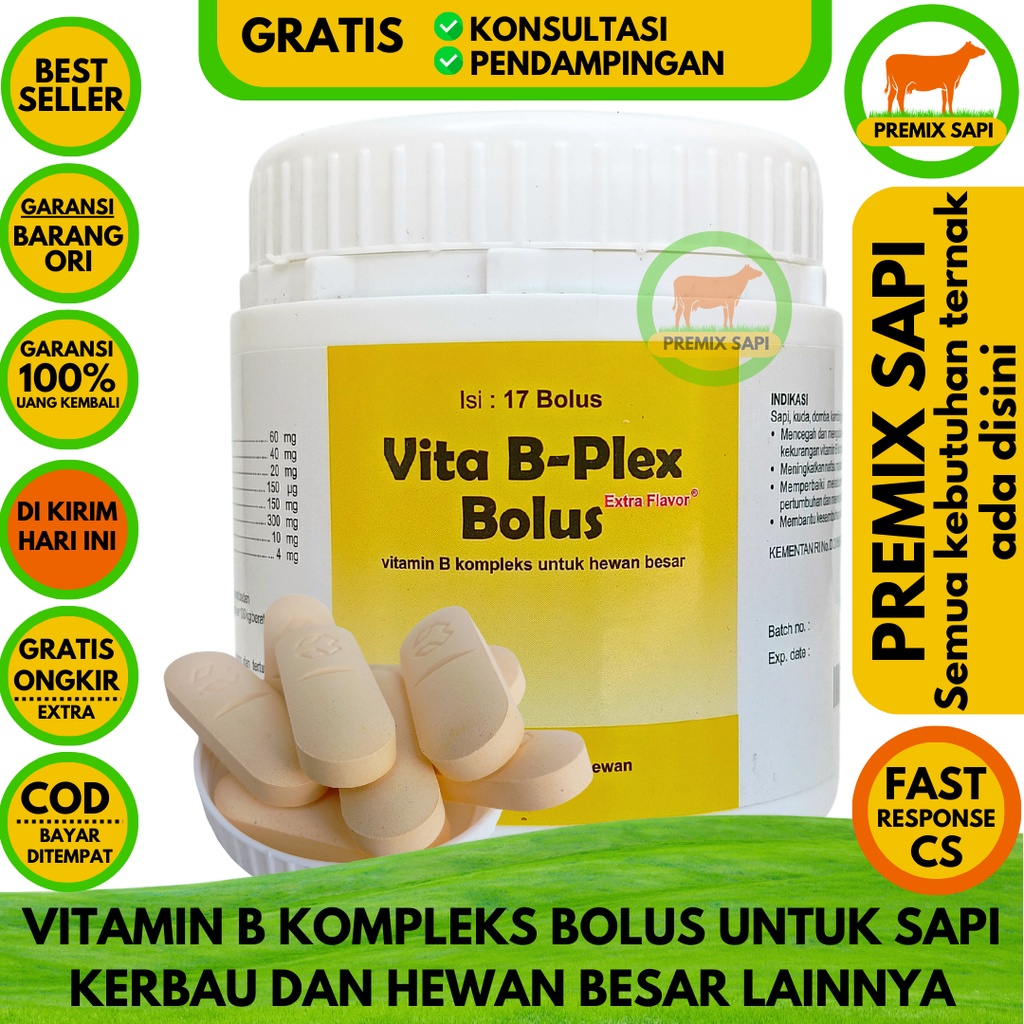 Jual VITA B PLEX BOLUS 1 POT - Vita B-Plex Bolus, Vita BPlex Bolus ...