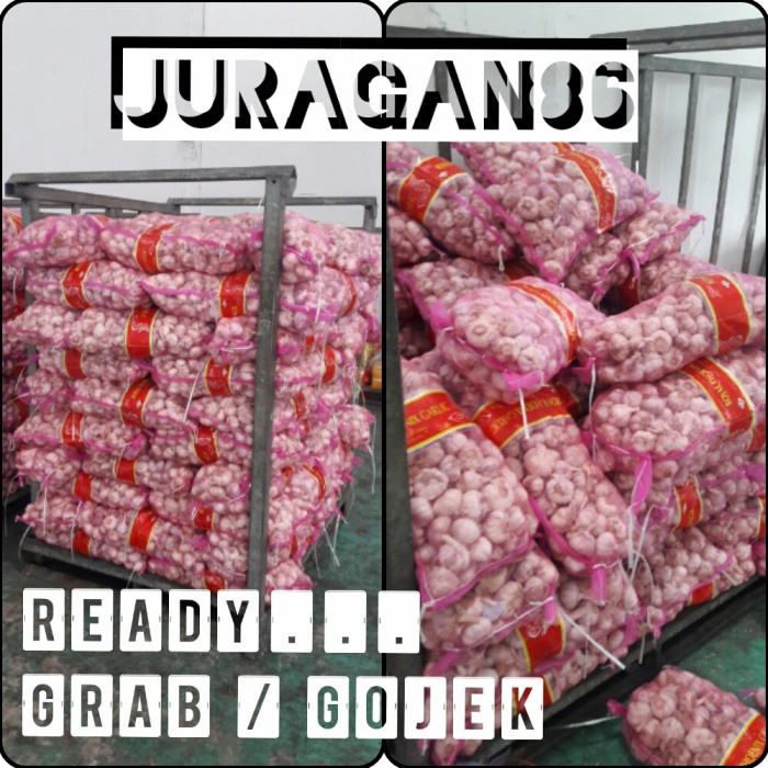 

Bawang Bawang Putih Banci Karungan 20Kg