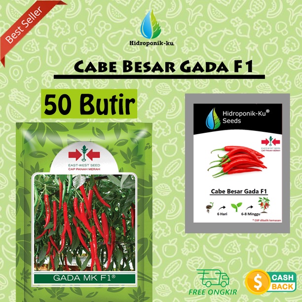 Bibit /Benih Cabe Besar Gada F1 isi ( 50 biji ) REPACK Hidroponik ku