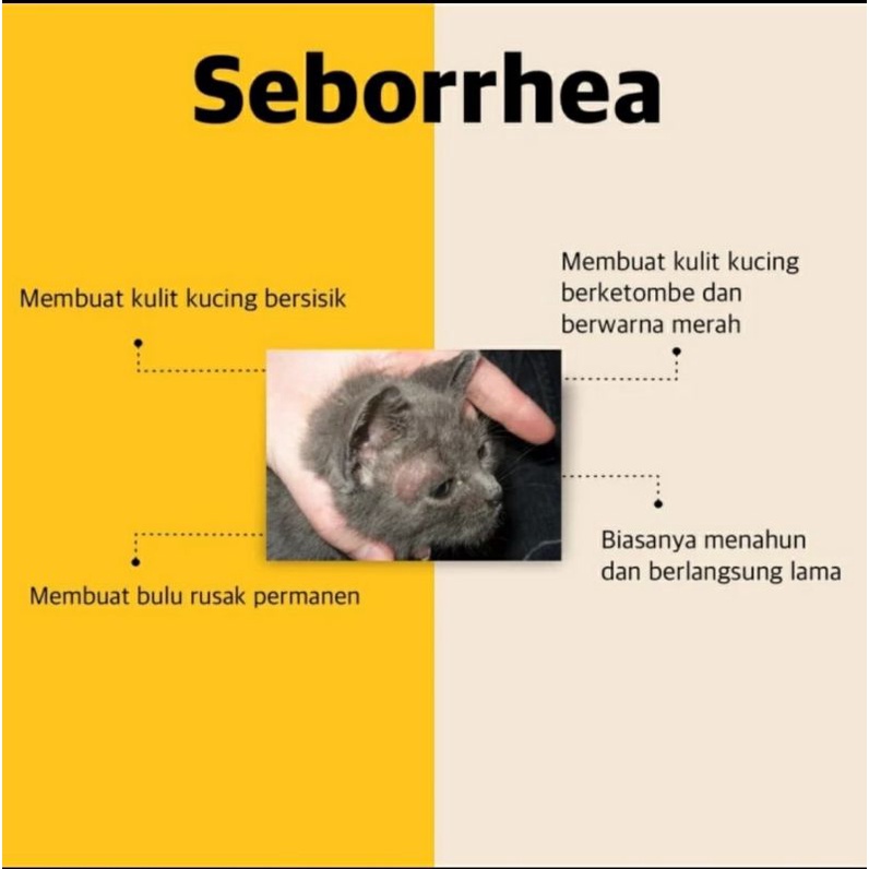 Scabiex Spray Anti Jamur Kucing dan Anjing Obat Jamur Scabies Gangguan Kulit Kucing Gatal-gatal dll