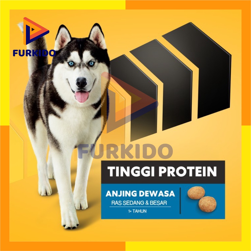 Pedigree Dog Large Breed Adult High Protein 1,5 Kg / Makanan Anjing