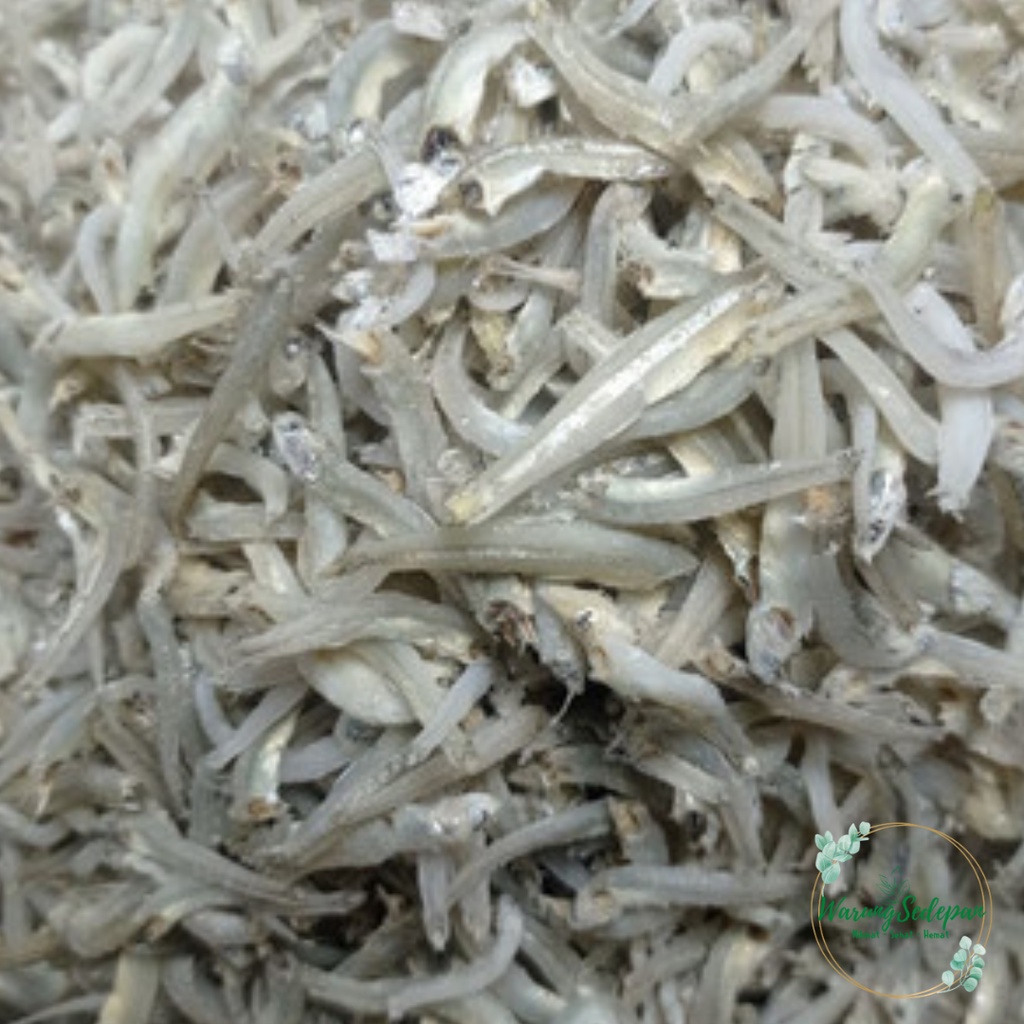 

Ikan Teri Buntiau Segar Teri Buntiauw Murah Ikan Asin