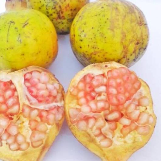 

❀ Buah Delima Putih 1 kg organik fresh baru petik untuk ▼