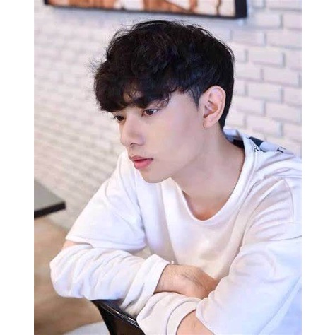 WIG PRIA / WIG COWOK KOREA / WIG COSPLAY / WIG RAMBUT PALSU