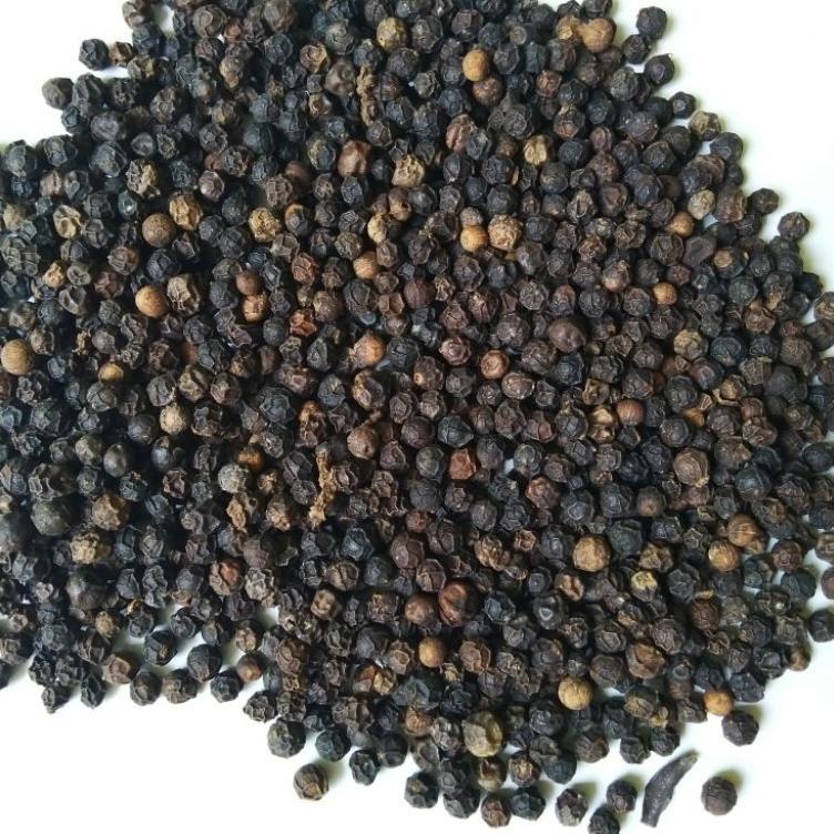 

Z96 Biji Lada Hitam 100gr - Merica Hitam Utuh Kualitas Bagus TERBARU ⇕