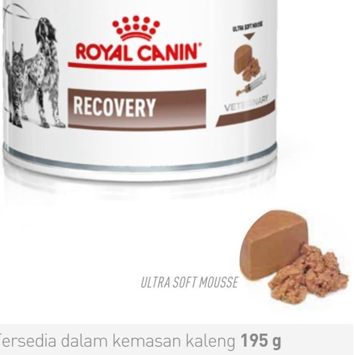 

○ Royal Canin Recovery Kaleng 195gr ◘