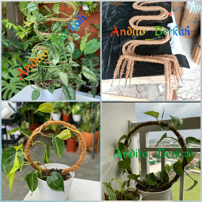 Terlaris Turus Bulat Dan Turus S Rambatan Tanaman