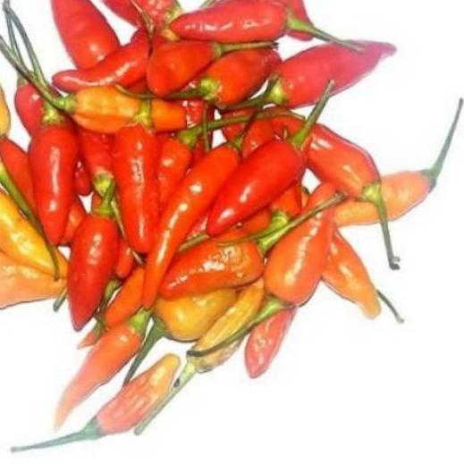 

➹ Cabe / cabai rawit merah - 500gram ☞