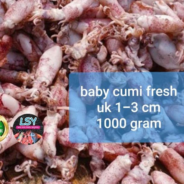 

12.12 . ikan asin baby cumi / cumi rebus 78 berat 1kg Real-Pict,..