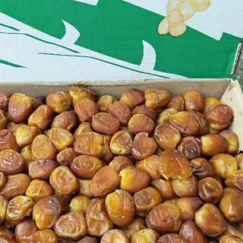 

♂ Kurma Sukari Al Qaseem 3KG || Kurma Sukkari Al Qassim Produk dengan kode merek NR, HC, MR adalah SAMA ✻