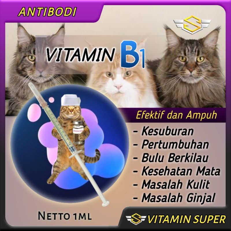 Vitamin Kucing B1 100% Ampuh | Vitamin Kesuburan, Bulu Berkilau, Pertumbuhan, Penyembuh Luka, Sakit Mata Kucing, Sakit Ginjal, Gemukin dan Masalah Kulit