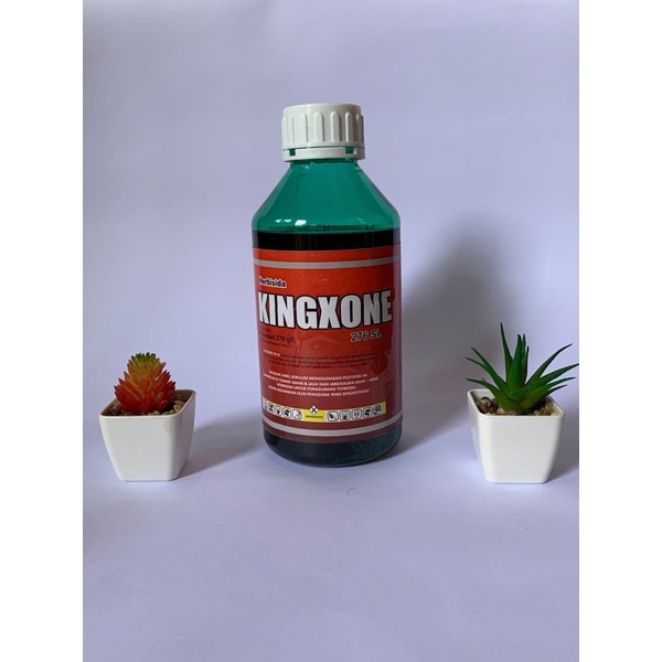 HERBISIDA KONTAK KINGXONE 276SL