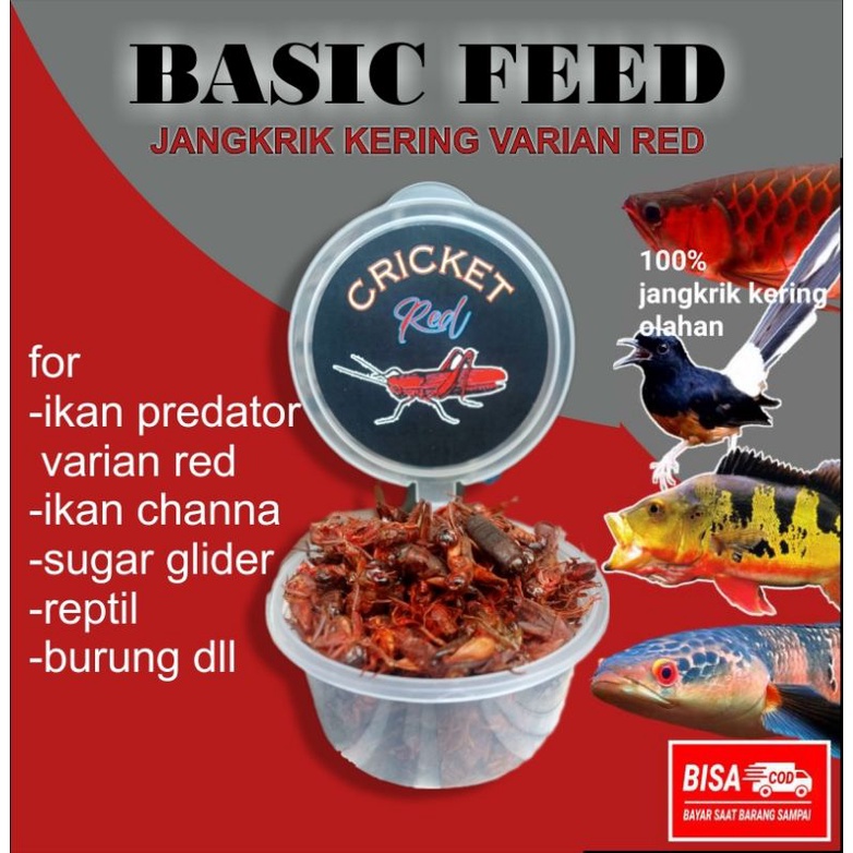 jangkrik kering red Basic Feed 15gr | makanan ikan predator | pakan channa