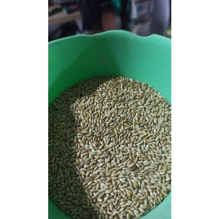 PAKAN BURUNG KENARI SEED 1KG PAKAN KILOAN