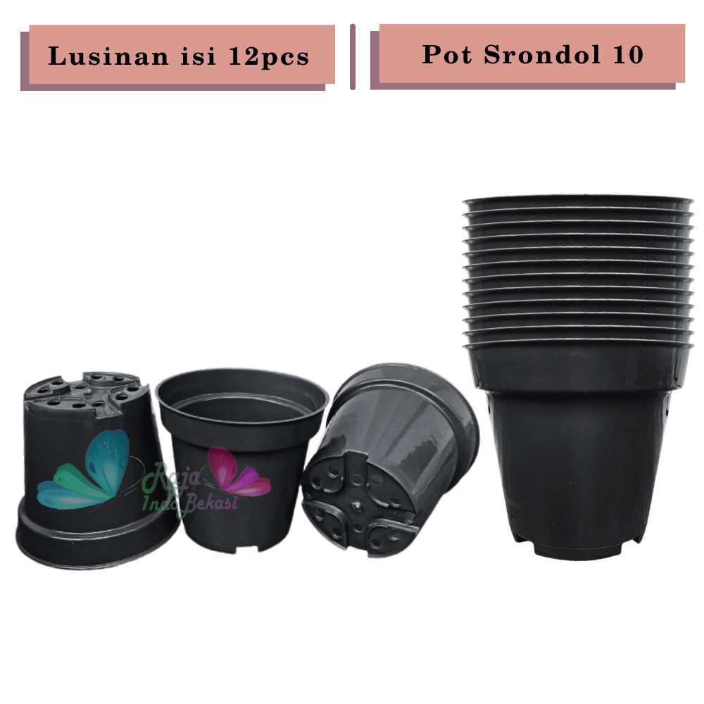 LUSINAN Pot 10 Cm Hitam Isi 12 Pcs TERMURAH GROSIR Lusinan 12pcs Pot Bunga Plastik Polos Kecil Murah