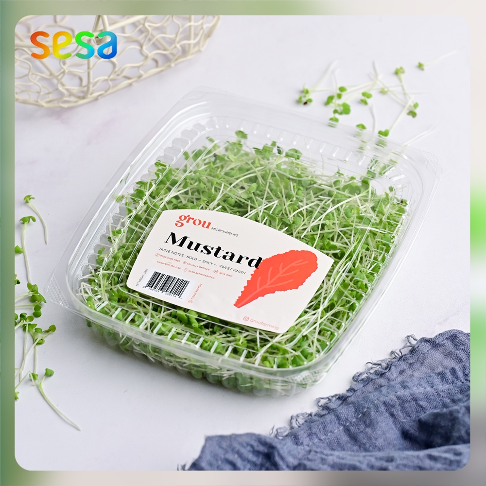 

Microgreens Spicy Mustard 50 Gr