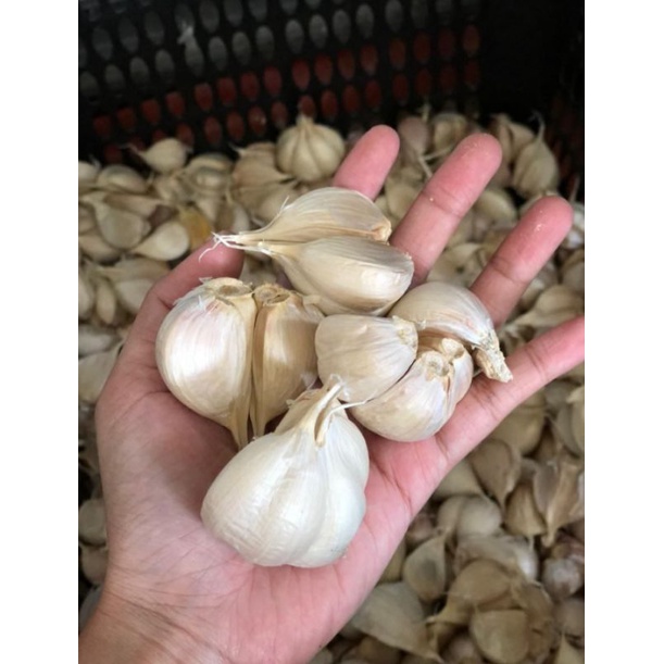 

Ready Stok Bawang Putih Kating 1kg