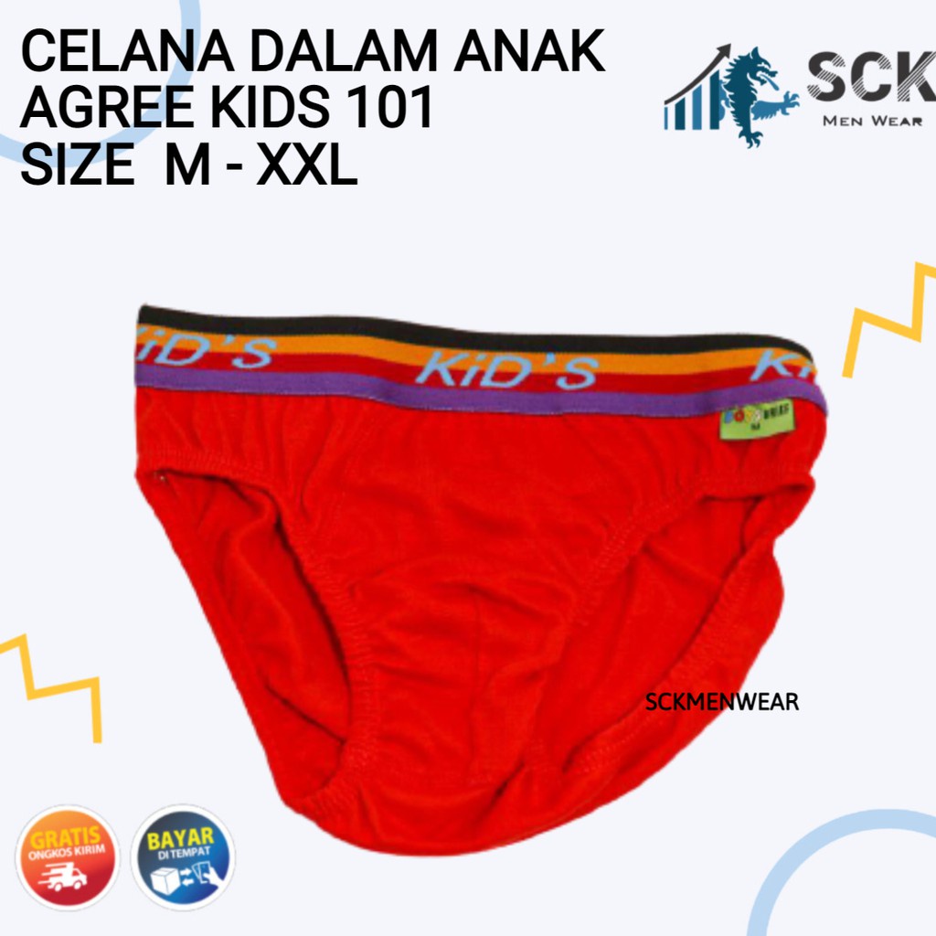 [ISI 3] CD Anak AGREE 101 Pinggang Karet  Melar / Celana Dalam AG101 Polos Model Boxer / Pakaian Dalam - sckmenwear GROSIR