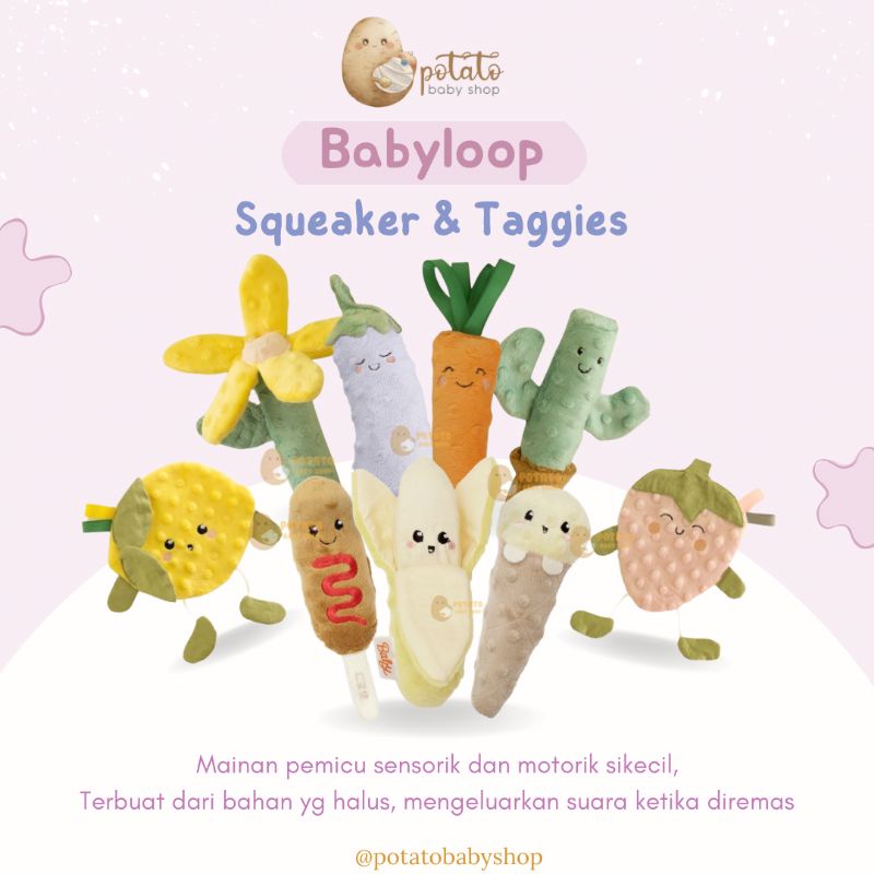 Babyloop Squeaker Minky taggies Carrot, Cactus, Eggplant &amp; Daisy Baby Loop