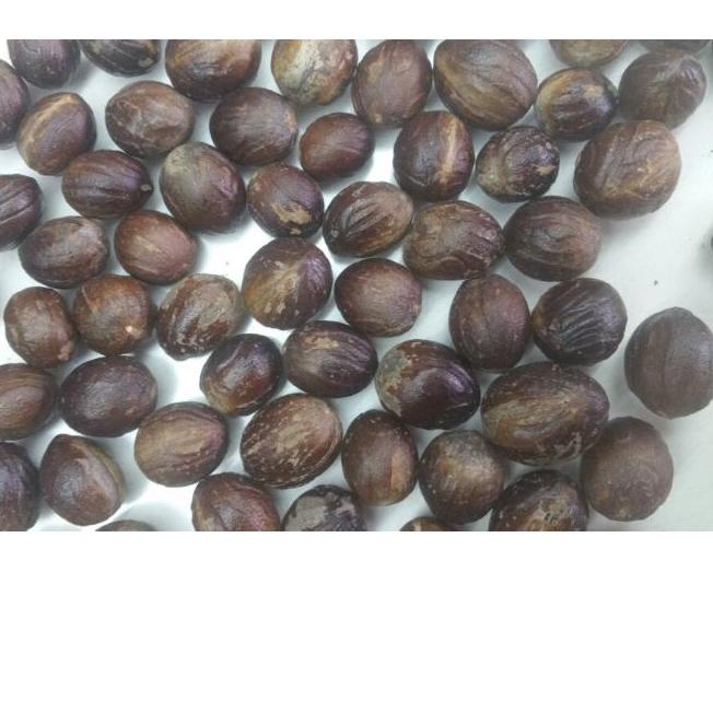 

❈ Pala bulat dapat 1 kg. Kualitas Ekspor ➣