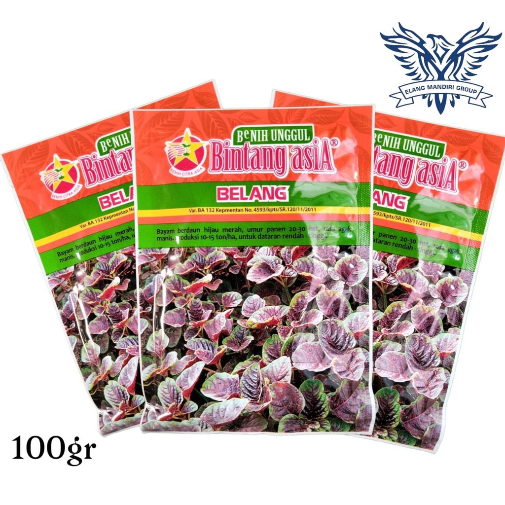 Benih Bibit Bayam BELANG 100gr Bayam Unggul Berdaun Hijau Merah Bintang Asia